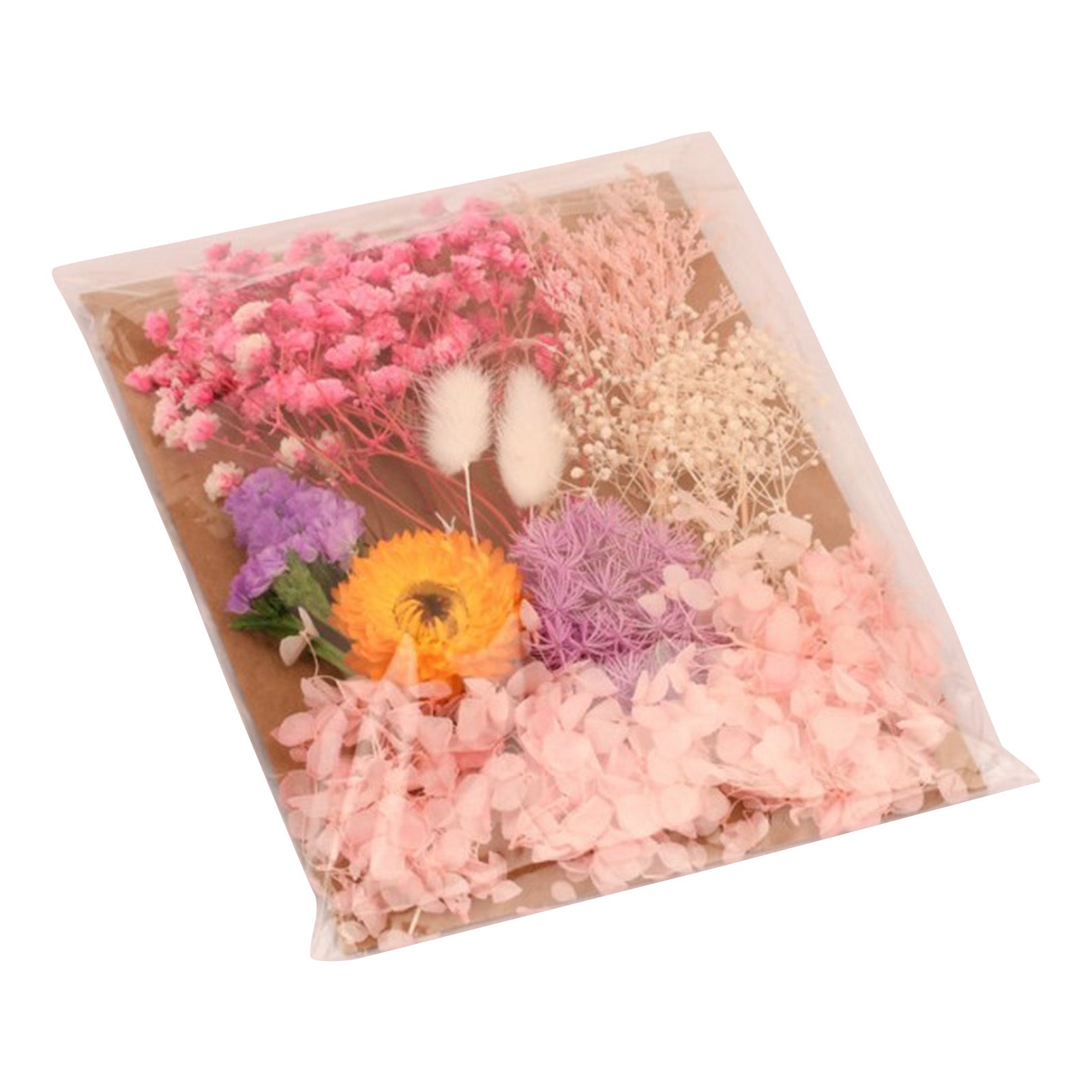 Dried Flowers Natural Material Assorted Styles Bright Colors Multi Purpose Dried Bouquet for Bookmark Specimen DIY