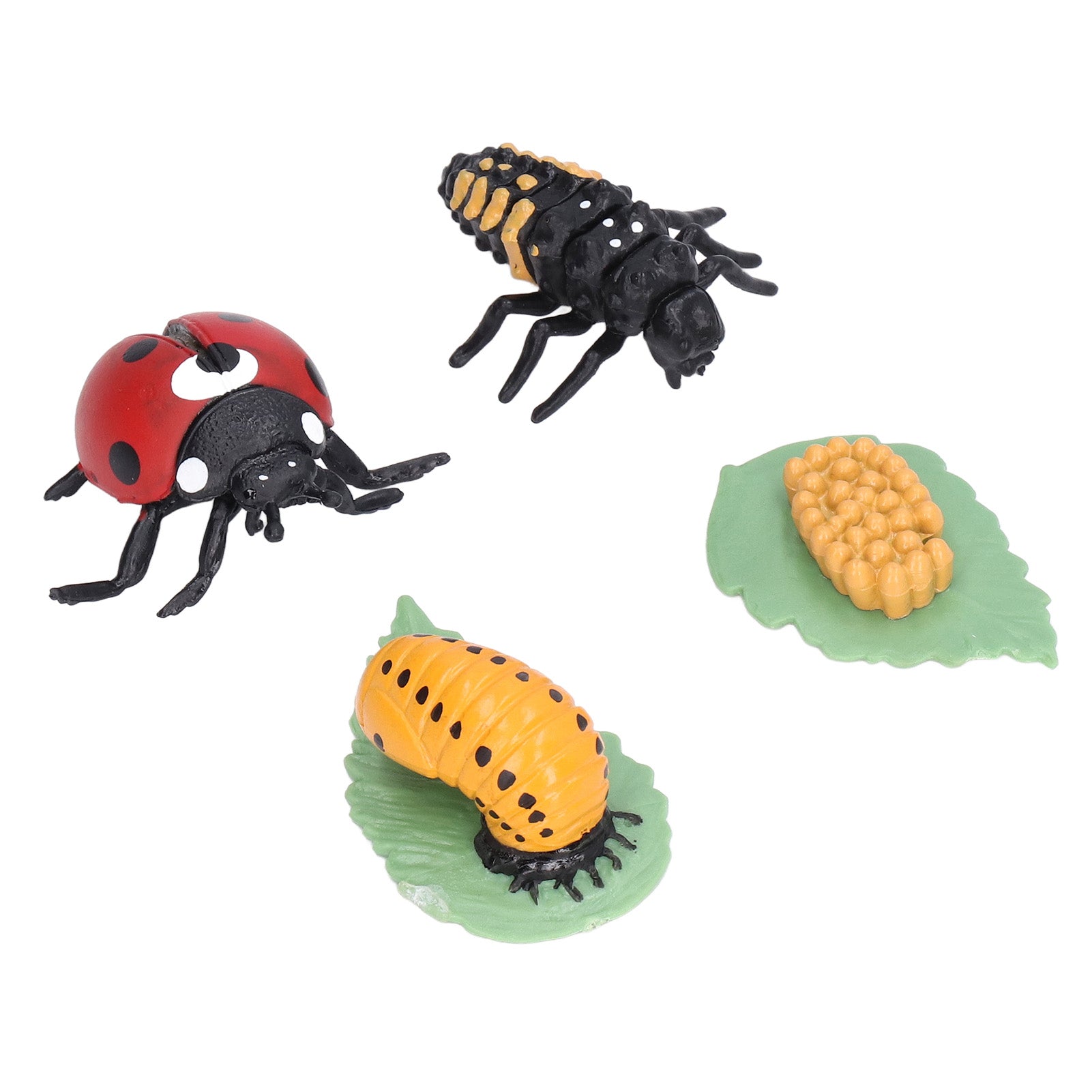 Life Cycle Figurines Lifelike Vinyl Ladybug Life Cycle Model Set for Kids Education Insect Themed Party Favors