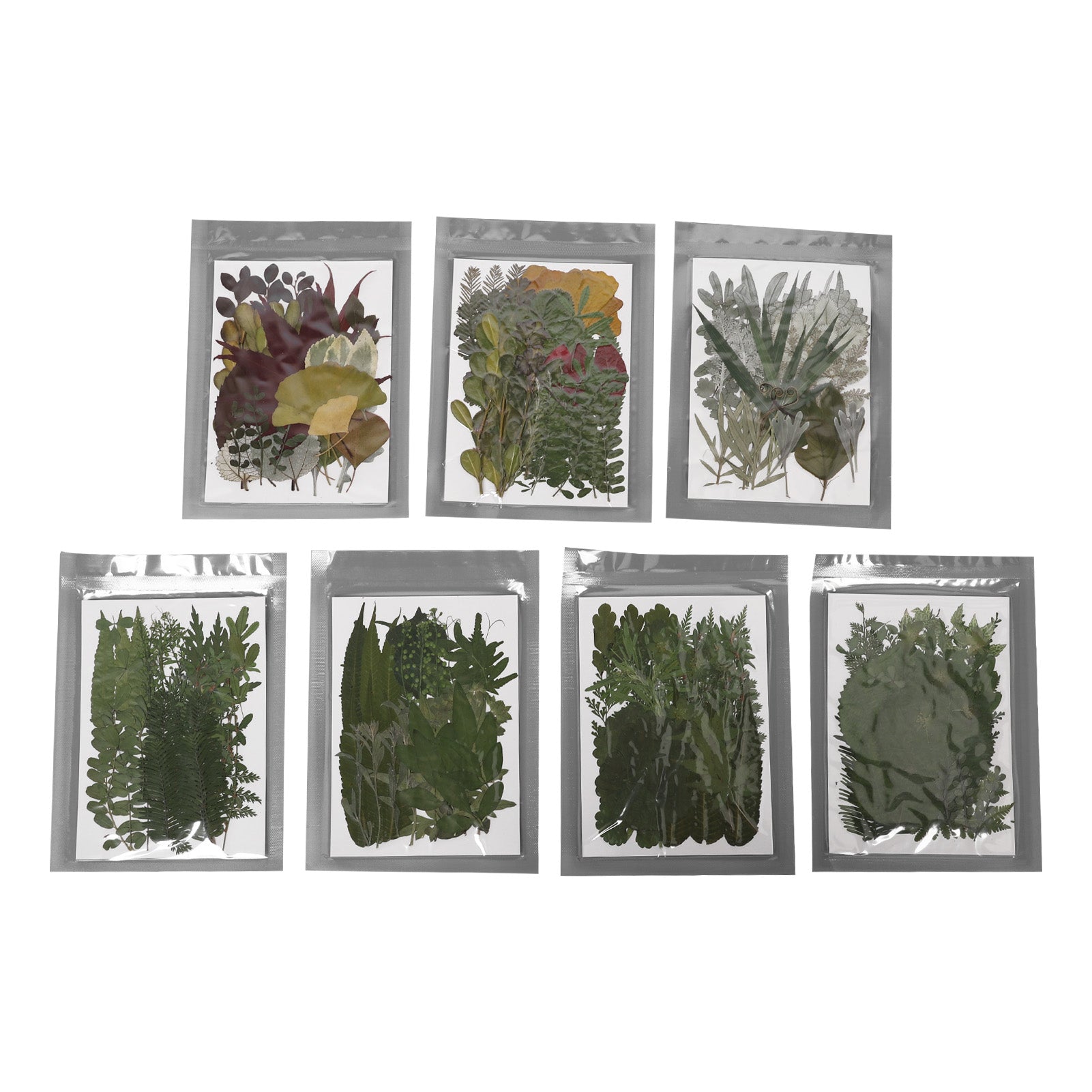 Natural Dried Pressed Flowers Plants Kit for DIY Crafts Jewelry Notes Invitations Gift