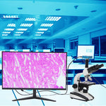 Trinocular Microscope Compound Monocular Microscope 40X 1600X Brightfield Double Layer